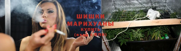круглые Корсаков