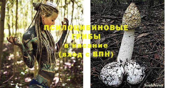 круглые Корсаков