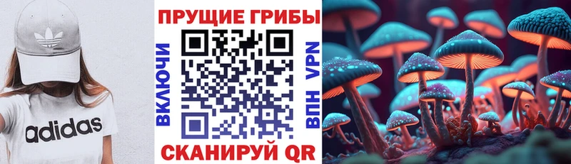 где купить   Бугуруслан  Галлюциногенные грибы GOLDEN TEACHER 