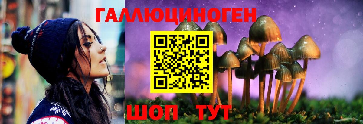 Галлюциногенные грибы прущие грибы  Вход с VPN  Бугуруслан  Псилоцибиновые грибы Magic Shrooms 