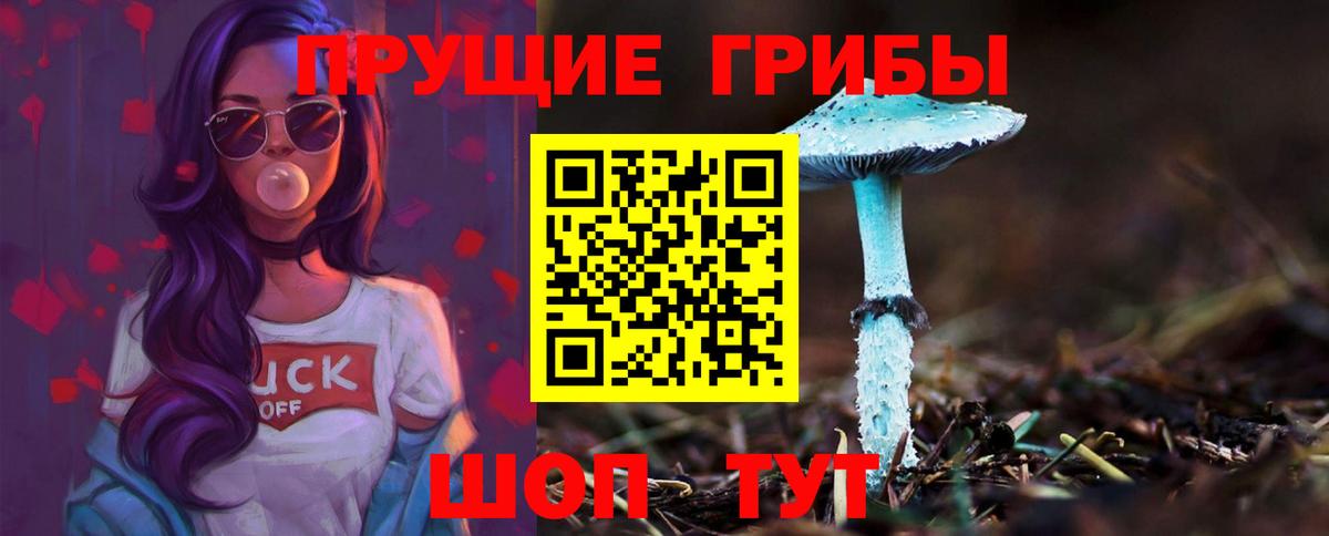 Псилоцибиновые грибы ЛСД Бугуруслан